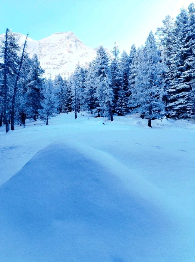 Image ajoutée par Stef