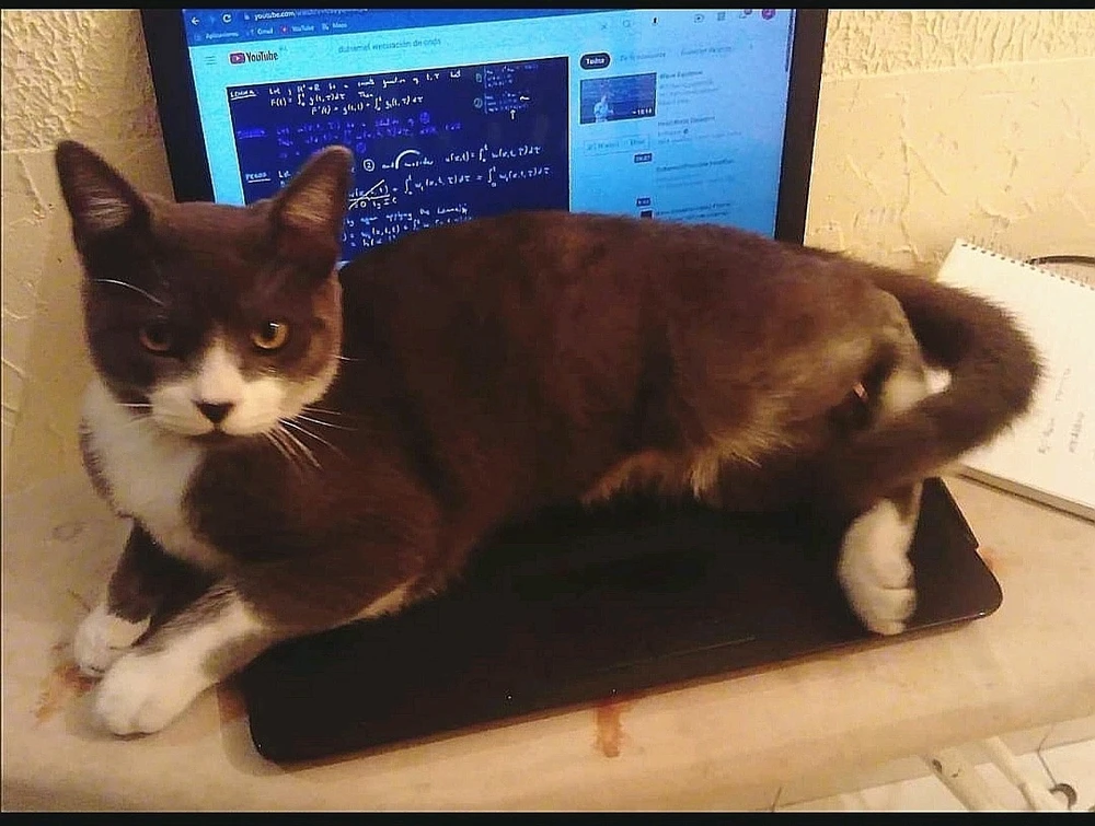 GIF subido por Guillermo