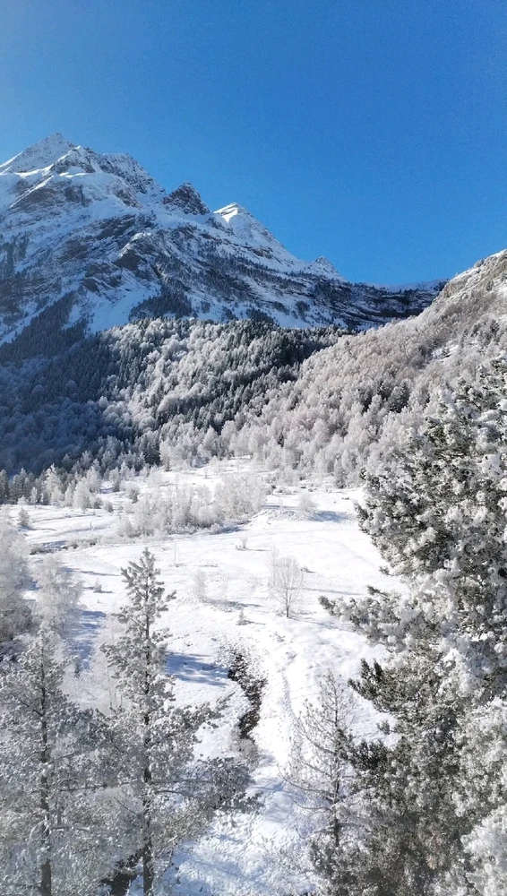 Image ajoutée par Stef