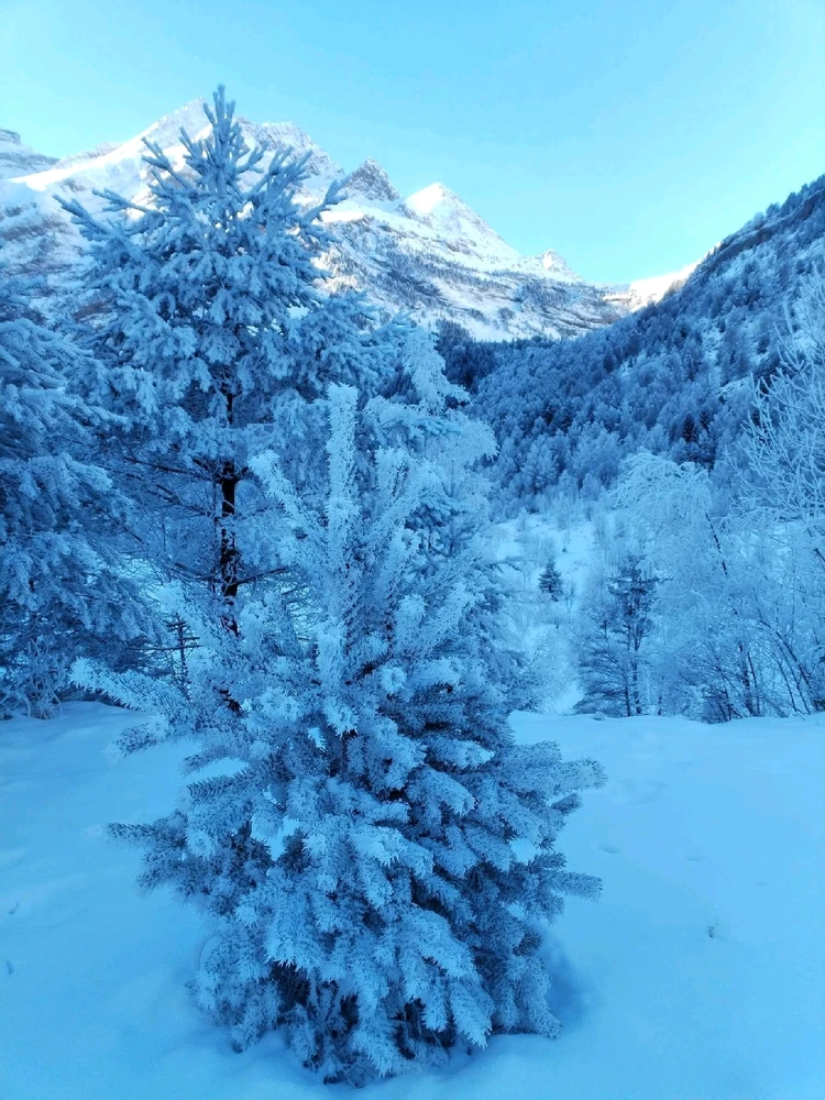 Image ajoutée par Stef