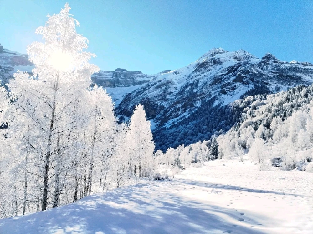 Image ajoutée par Stef