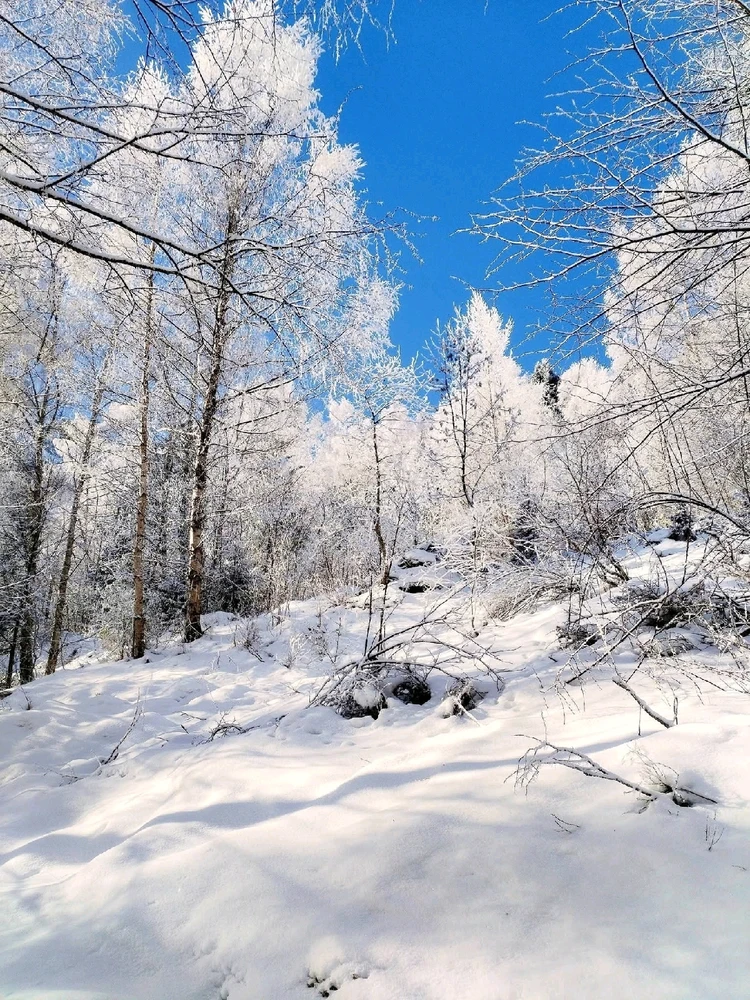 Image ajoutée par Stef