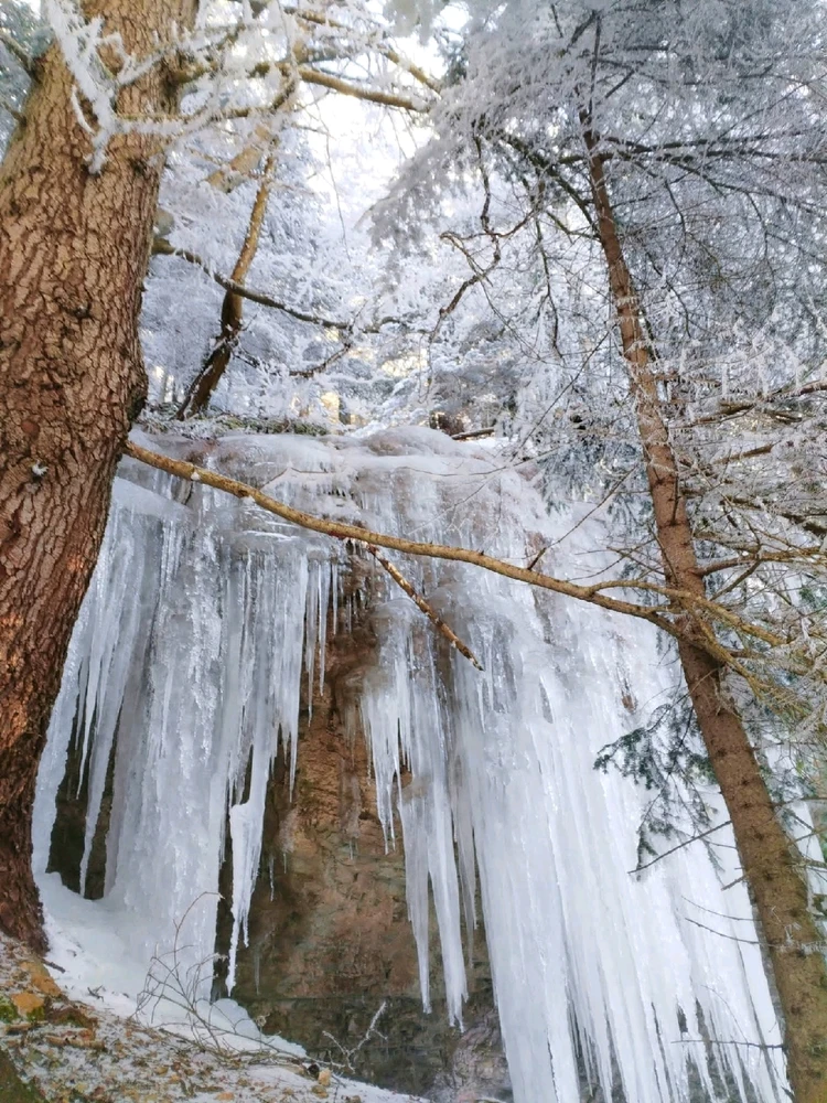 Image ajoutée par Stef