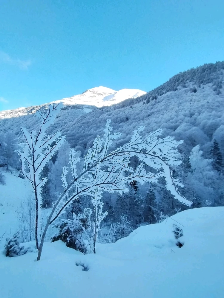 Image ajoutée par Stef