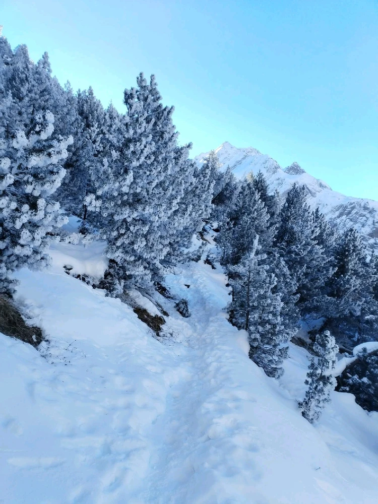 Image ajoutée par Stef