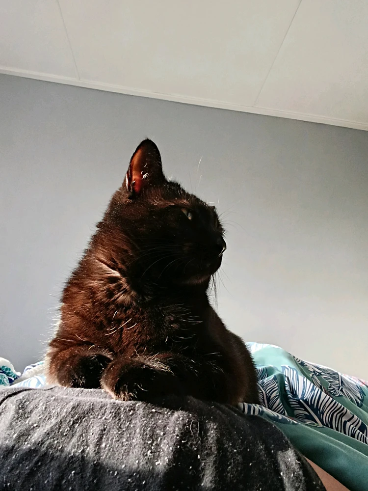 GIF nahrál ⭕⭕ Hlubina