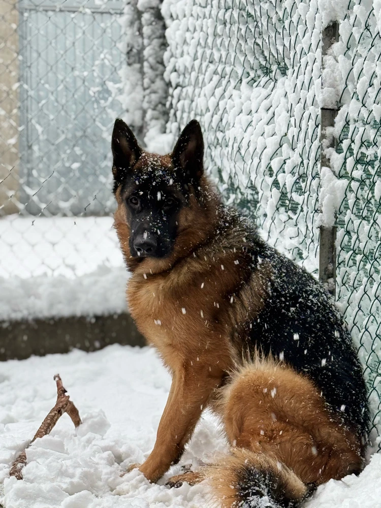 Immagine caricata da Meri