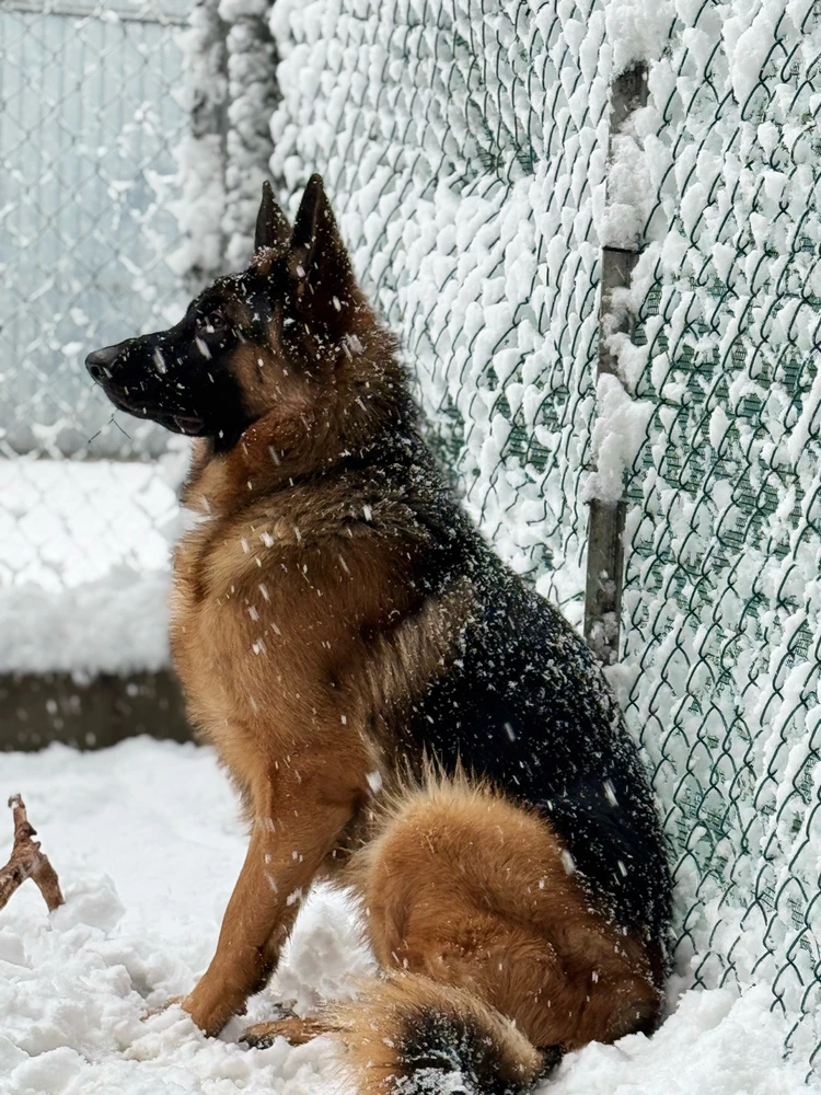 Immagine caricata da Meri