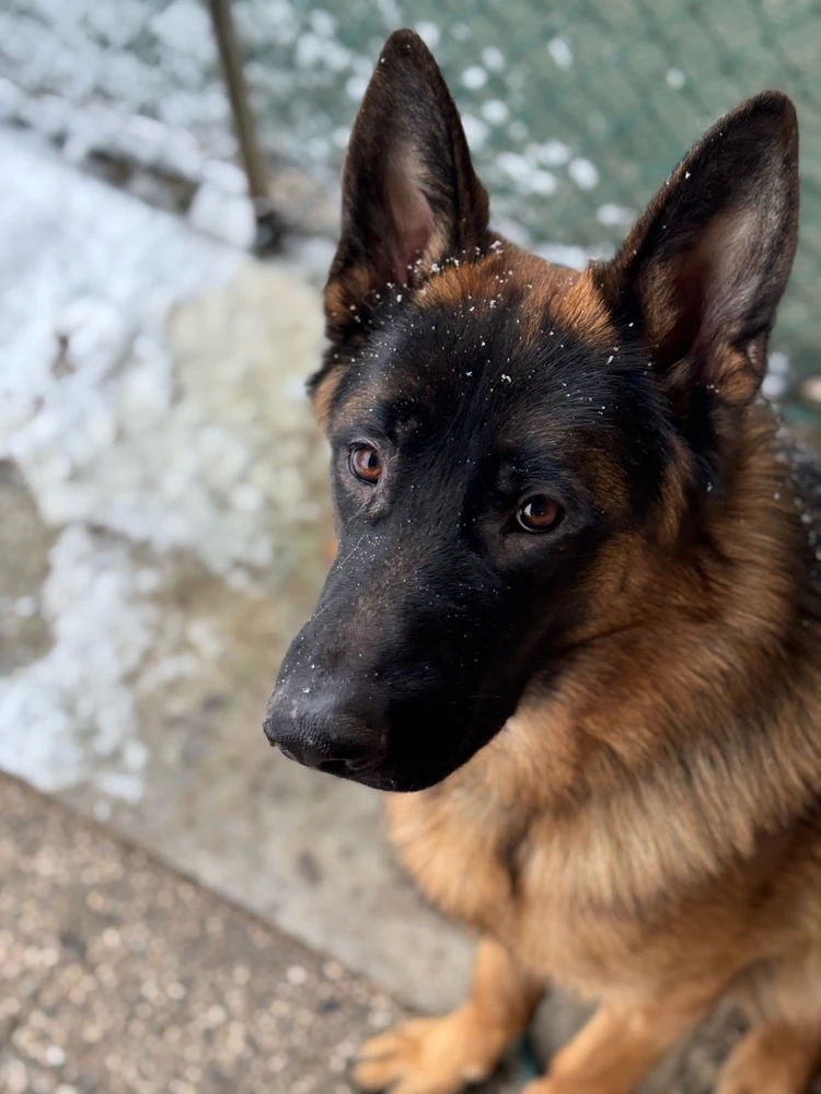 Immagine caricata da Meri