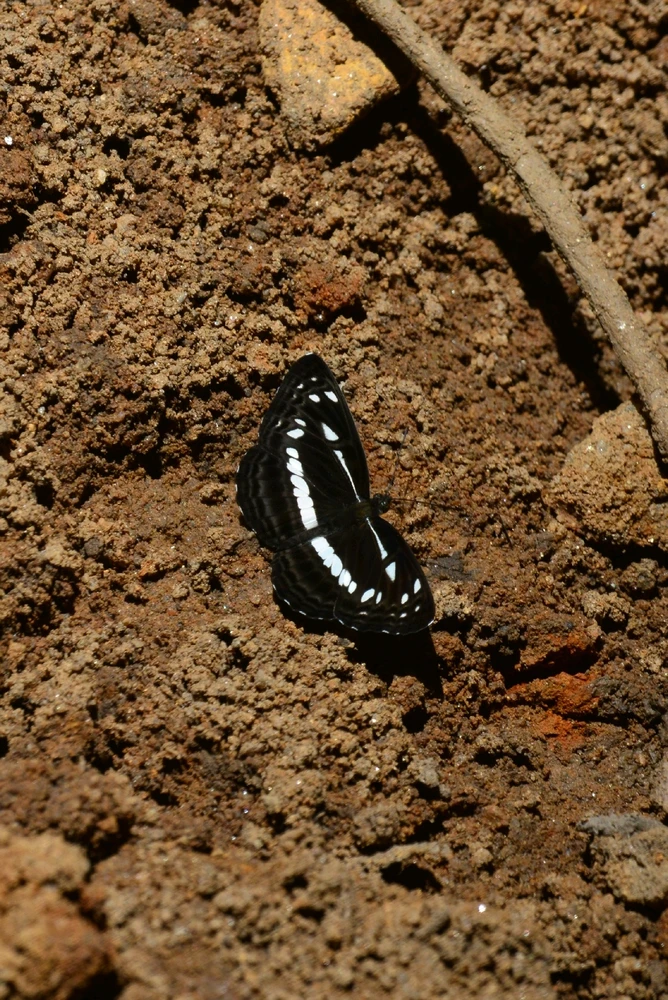 GIF uploaded by Shane