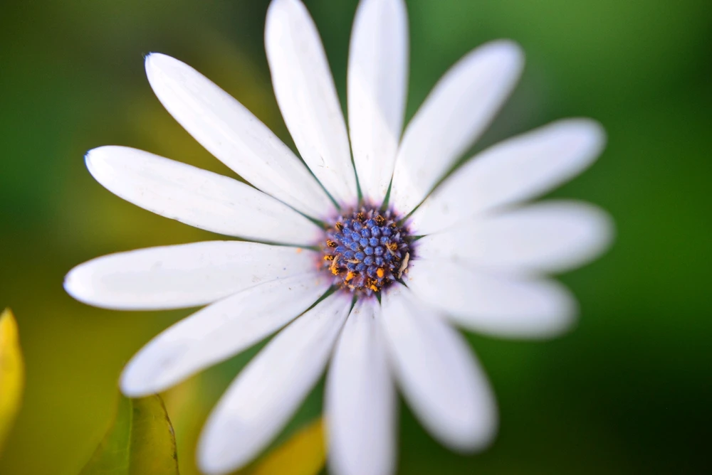 GIF uploaded by Shane