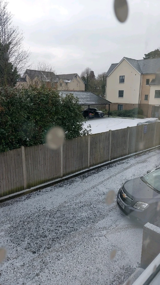 GIF uploaded by Francesca