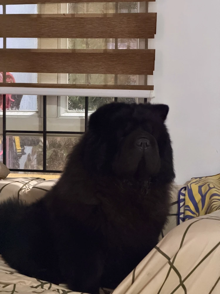 GIF uploaded by Maine