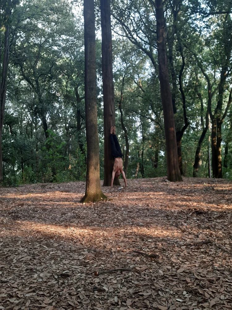 Image uploaded by David