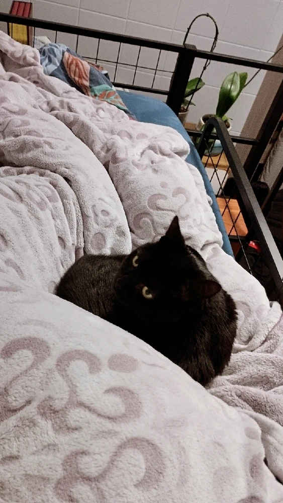 GIF ajouté par Océane 🦋