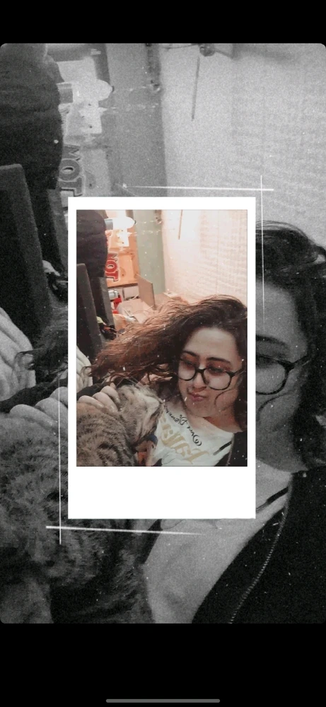 Immagine caricata da Viola