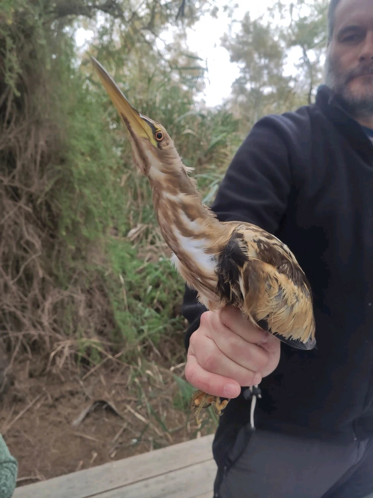 Imagen subida por Nati