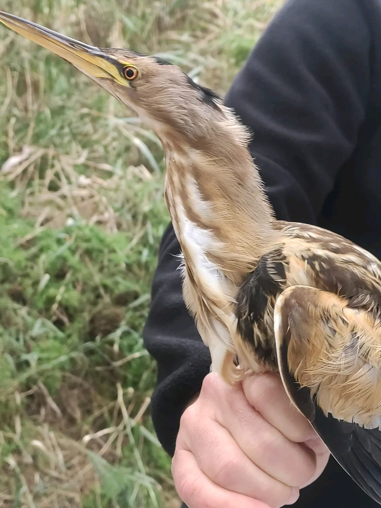 Imagen subida por Nati