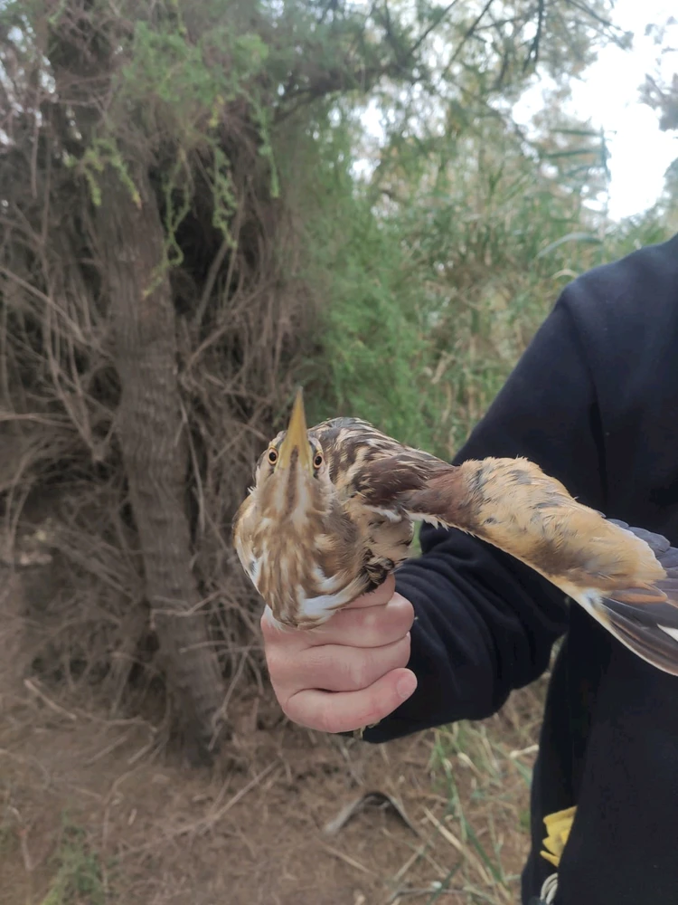 Imagen subida por Nati