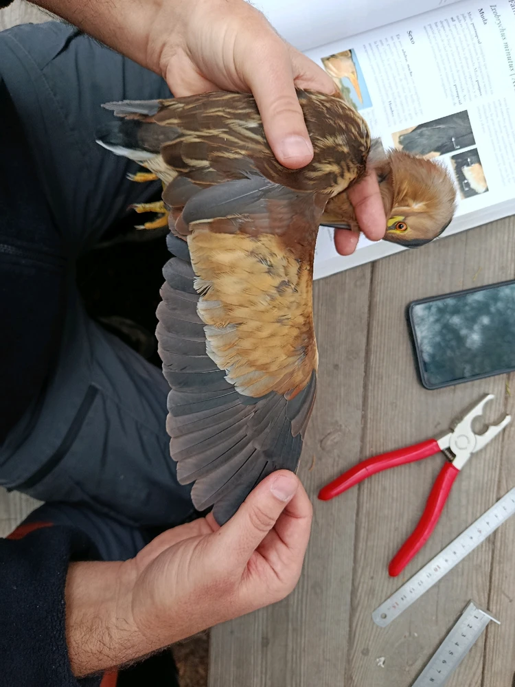 Imagen subida por Nati