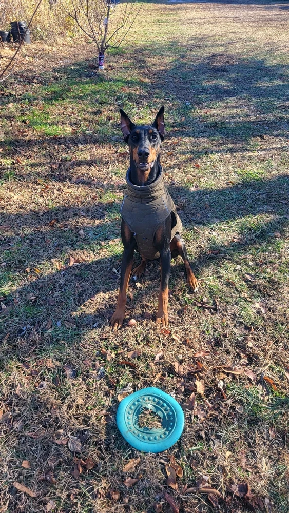 Image uploaded by Andrew