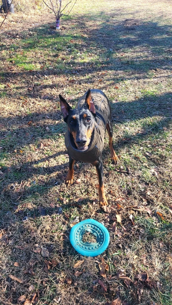 Image uploaded by Andrew