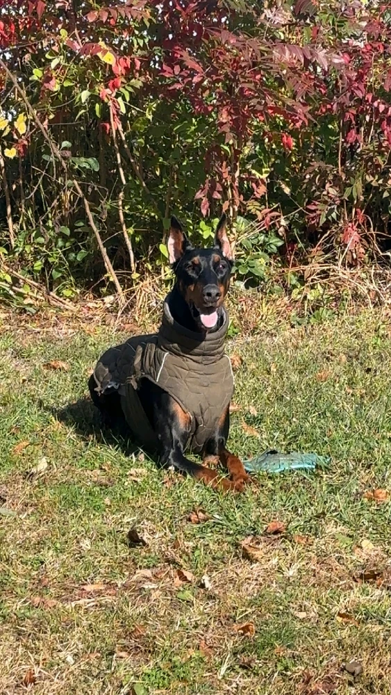 Image uploaded by Andrew