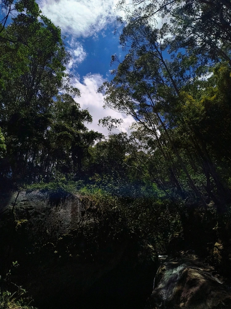 Image uploaded by Patrick