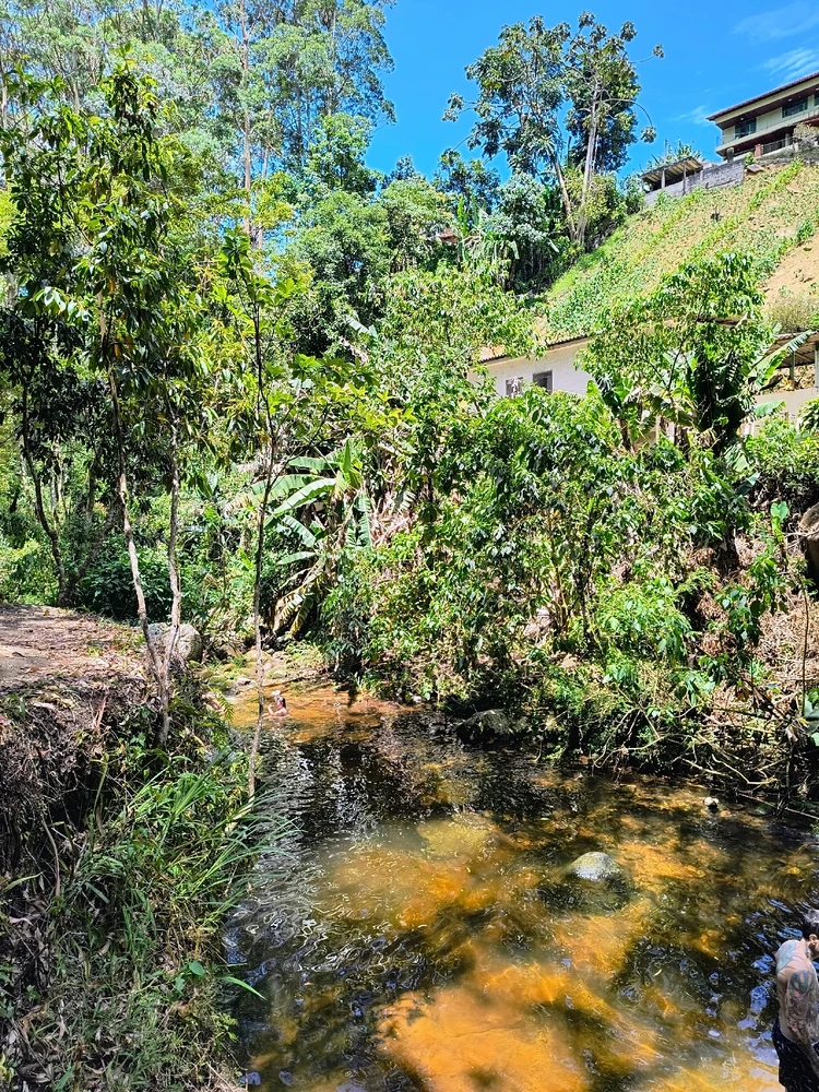 Image uploaded by Patrick