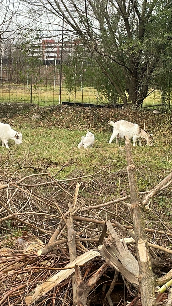 Immagine caricata da Alessias