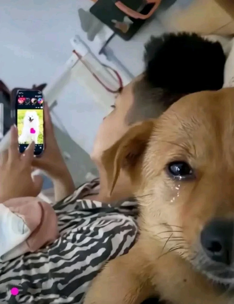 GIF uploaded by Andrey