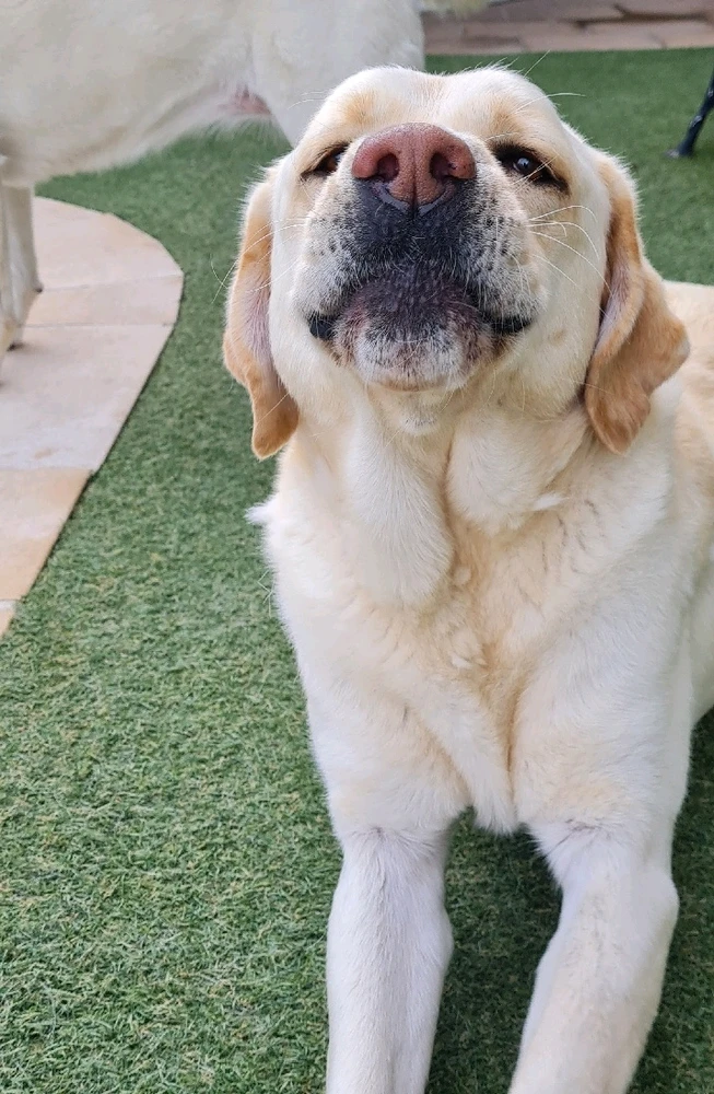 Image uploaded by Mark