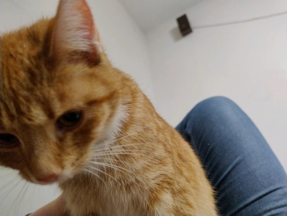 GIF dodany przez Krzysztof