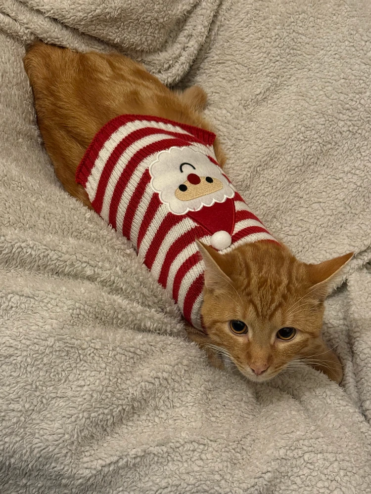 GIF uploaded by tolu