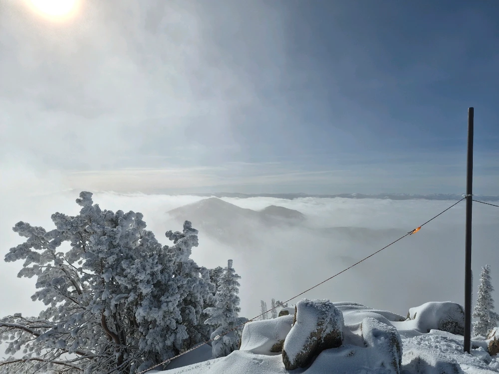 GIF uploaded by Wesley