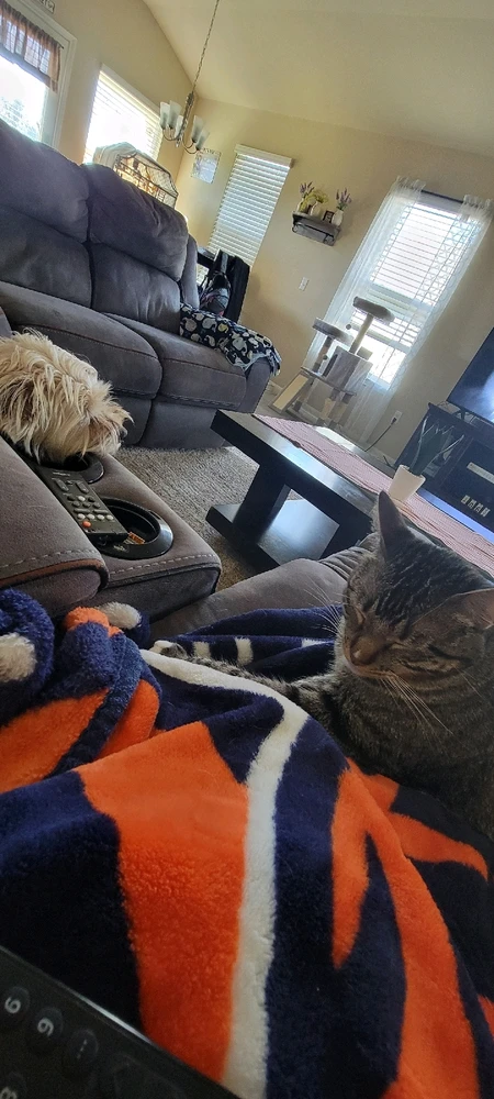 GIF uploaded by Jake