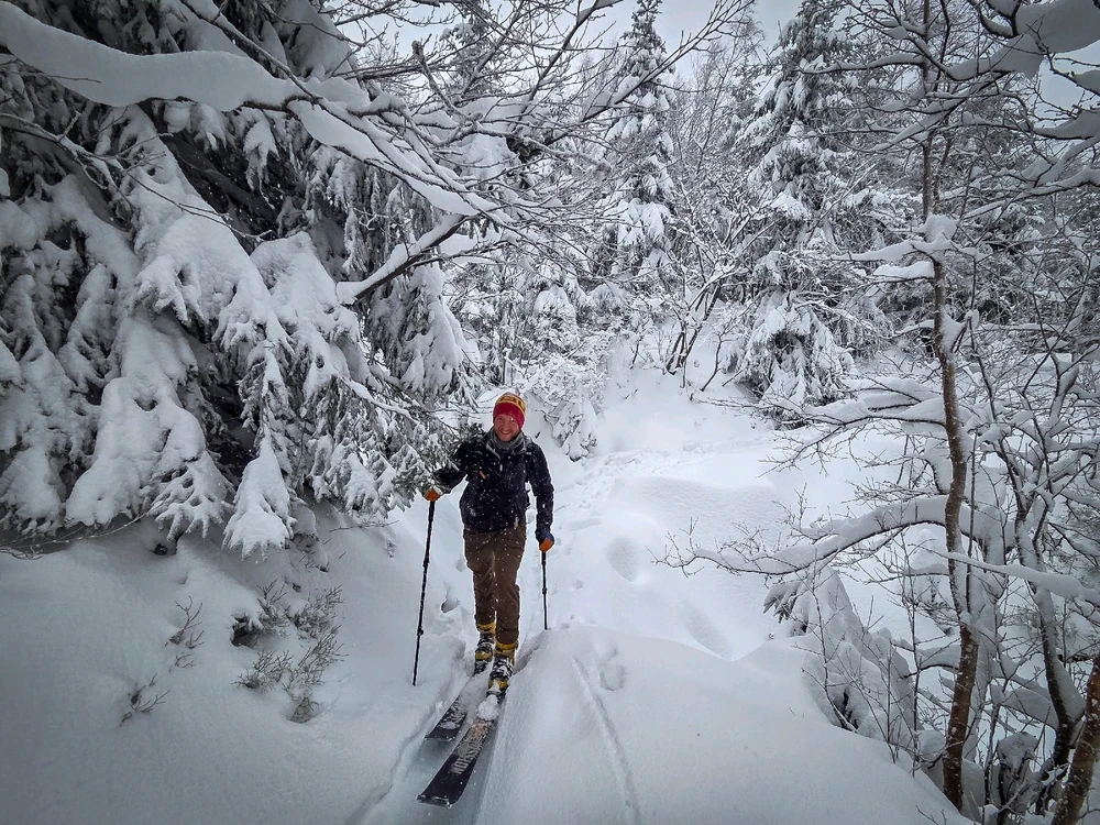 Obrázek nahrál ZdeHans