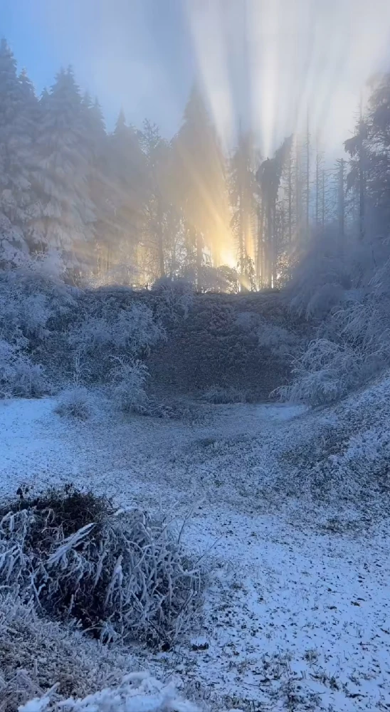 GIF hochgeladen von Mo