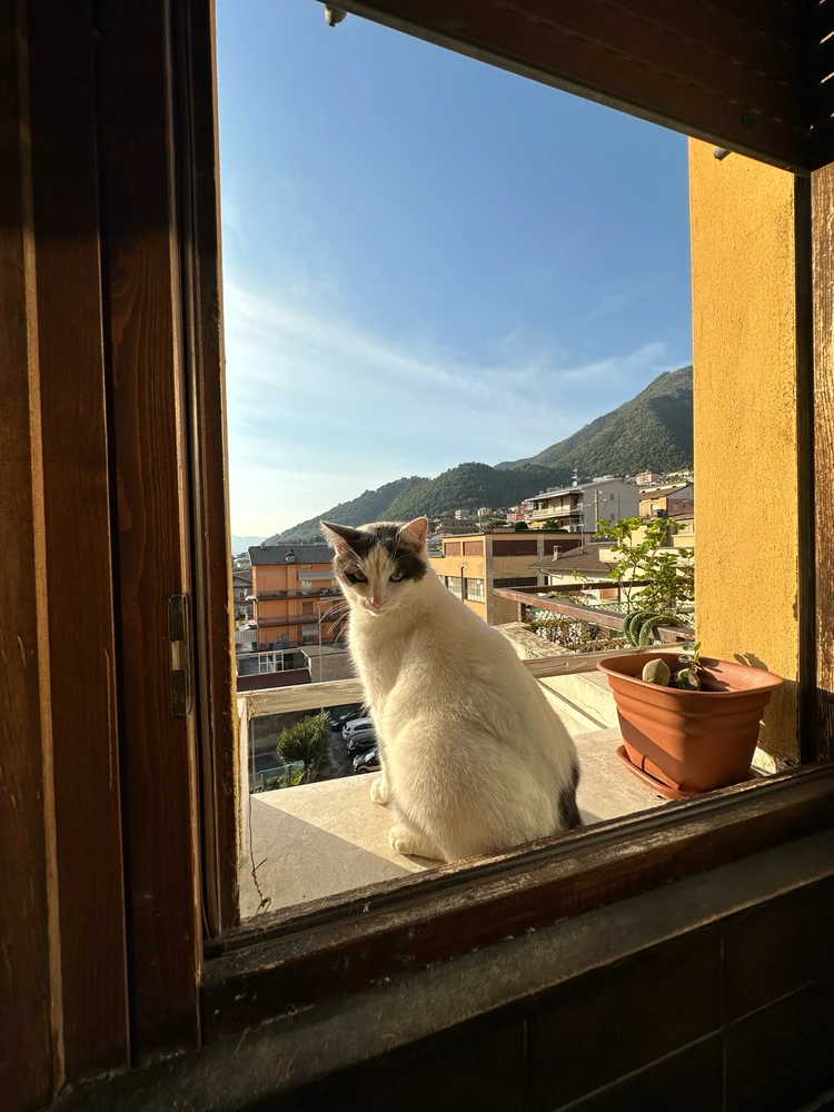 Immagine caricata da Ale