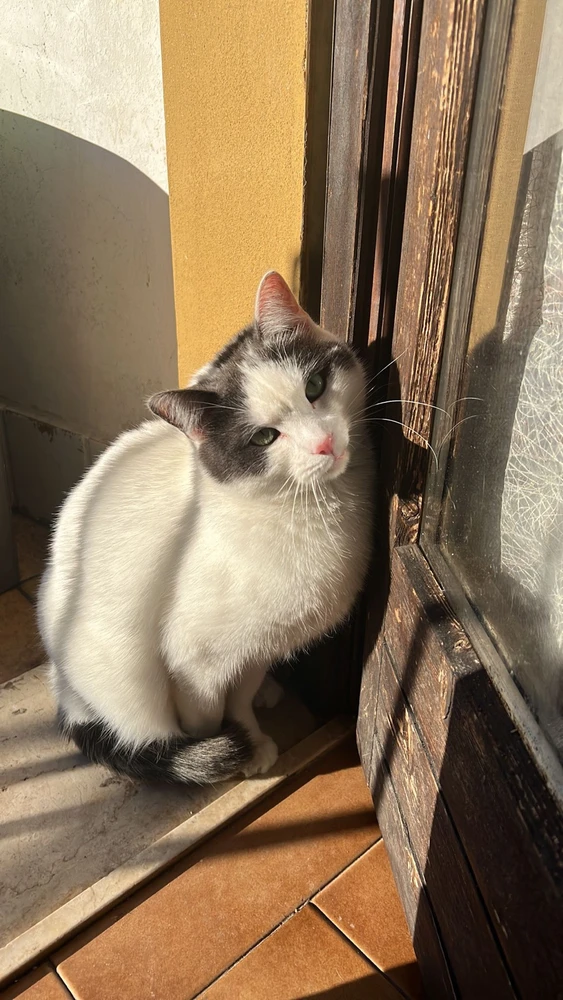 Immagine caricata da Ale