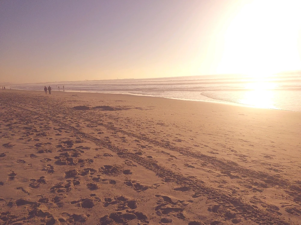 GIF uploaded by Jennifer