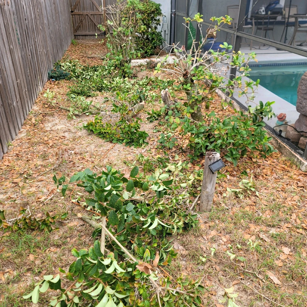 Gambar diunggah dening Chase