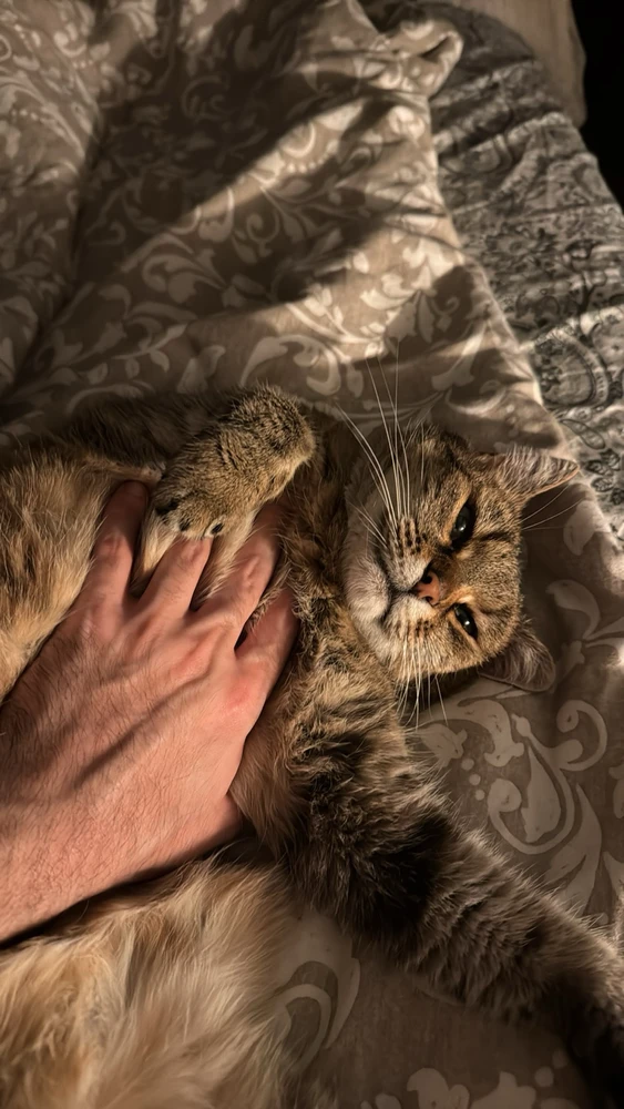 Ádám által feltöltött GIF