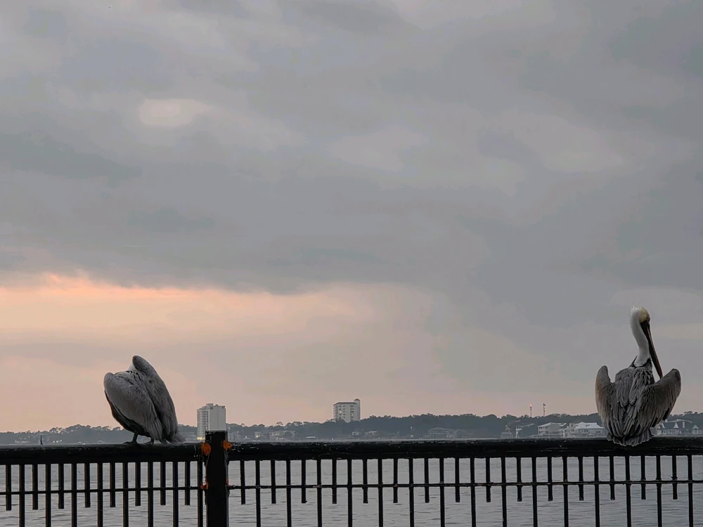 Image uploaded by Dominic