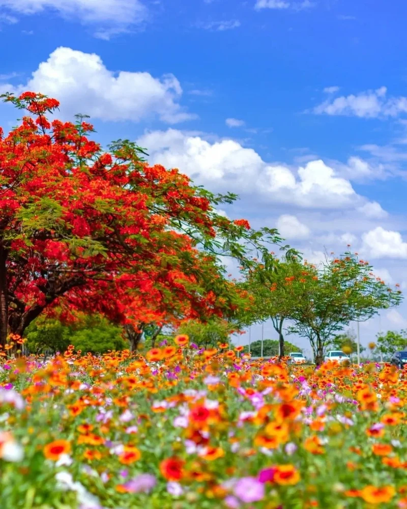 Imagem enviada por Guta