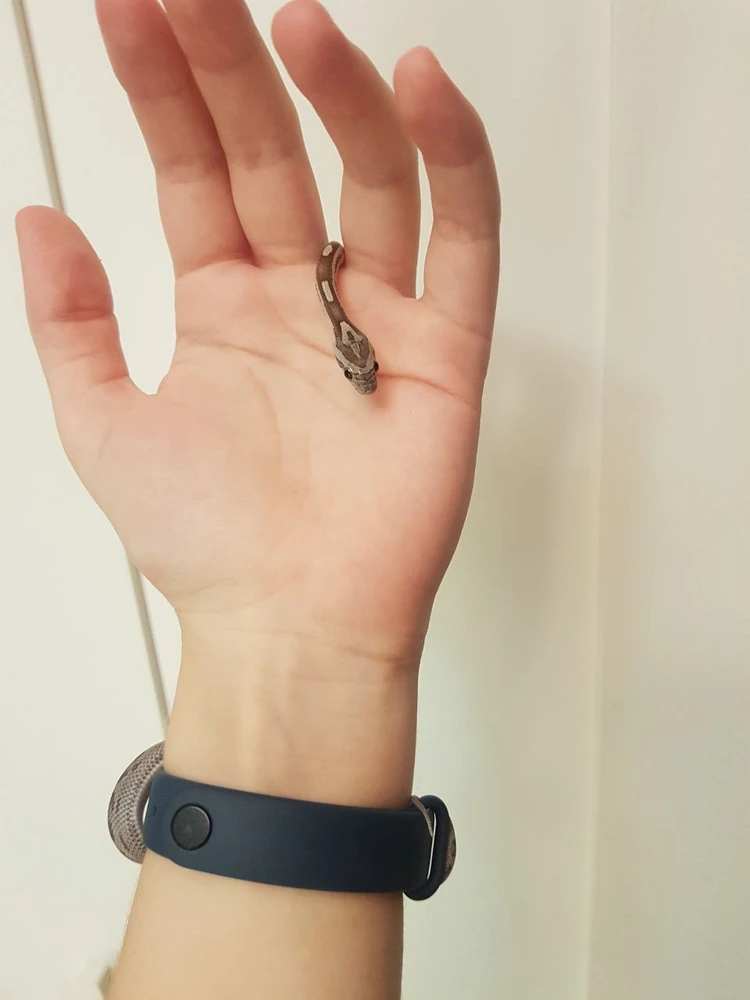 Image uploaded by Lin