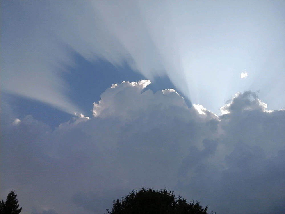 GIF uploaded by stefan