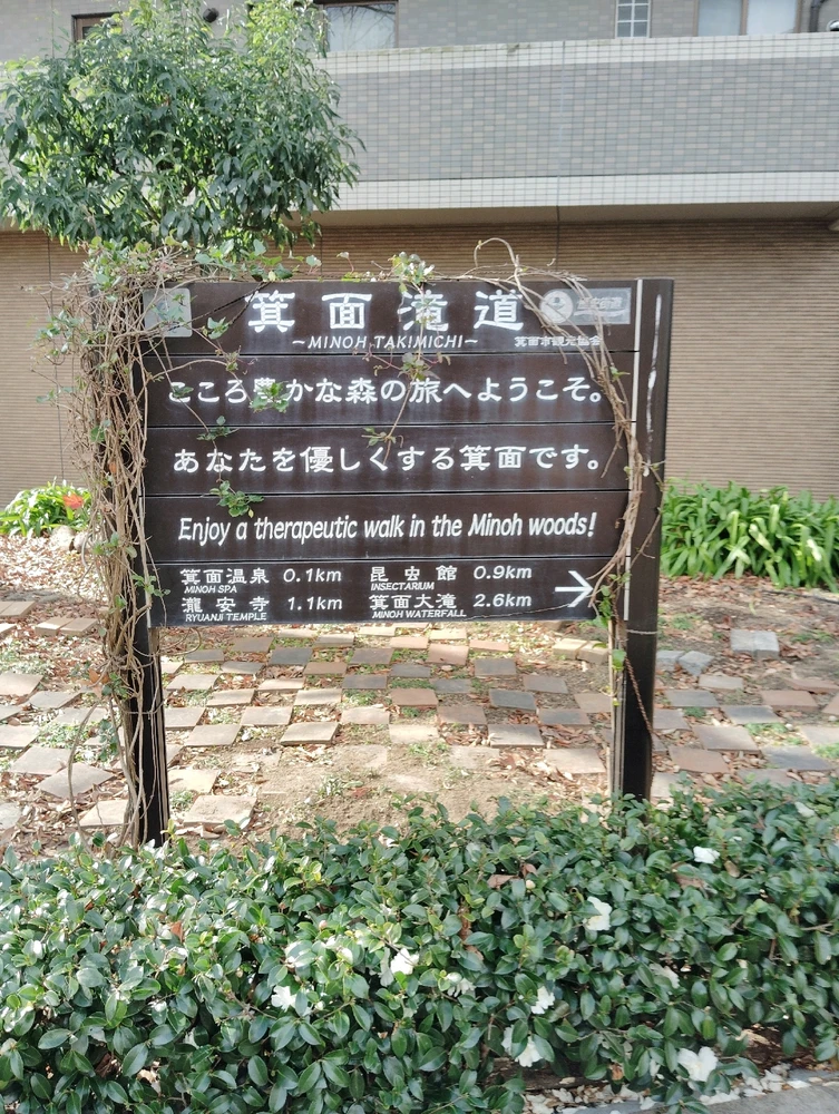 Bild hochgeladen von Victoria