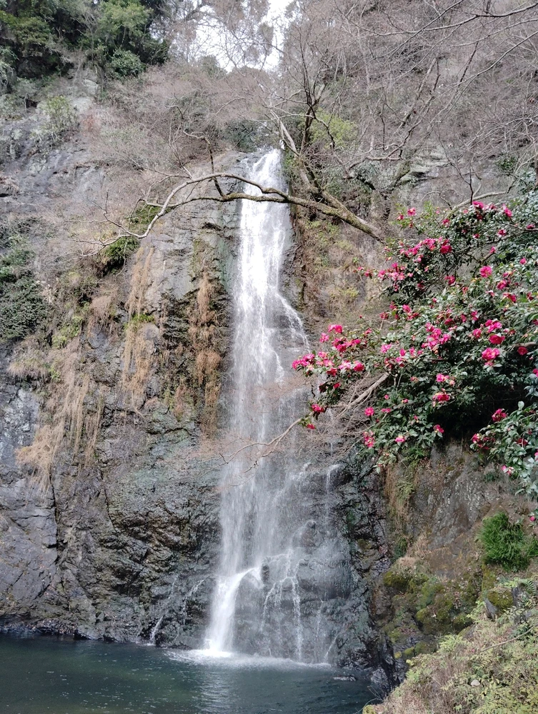 Bild hochgeladen von Victoria