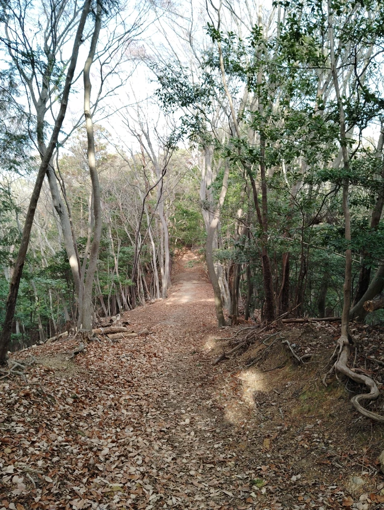 Bild hochgeladen von Victoria